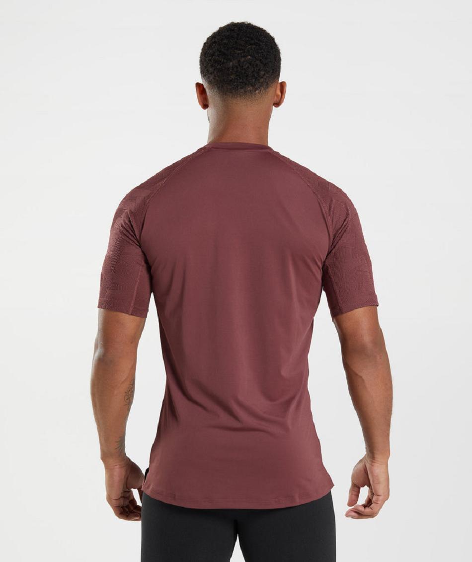 T Shirts Męskie Gymshark Form Różowe Brązowe | PL 3901GSO